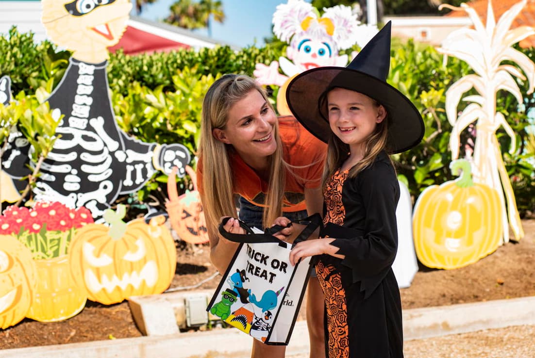 Magia, misterio y diversión: Descubre cómo se vive Halloween en cada rincón de San Diego 25 image 3 27