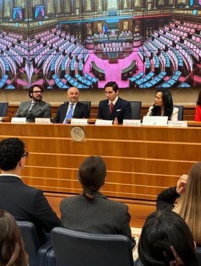 La pausa es clave para la salud mental de los jóvenes: Expertos defienden la prevención del burnout ante el Senado italiano 32 image 43