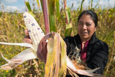 Nutrir el futuro desde la raíz: El verdadero significado detrás de llevar comida sana a la mesa 32 image 5 11